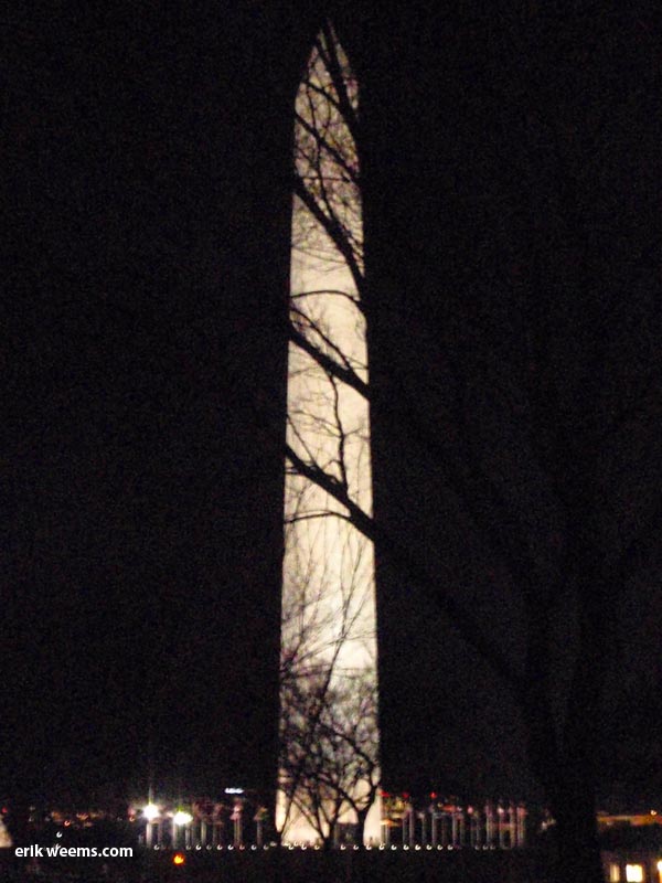 Washington Monument at night tree shrouded