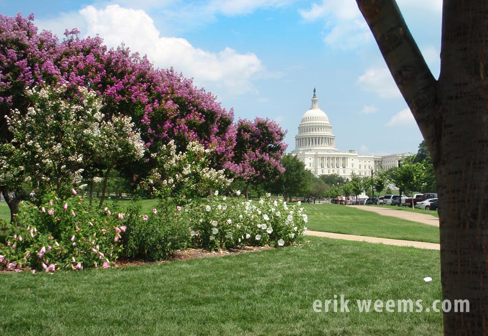 Capitol Hill flower beds and dome Washingon DC