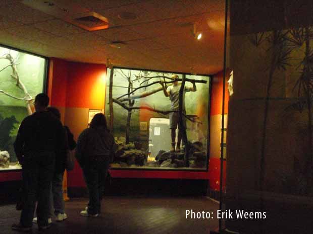 New Exhibit added National Zoo