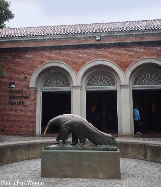 The Small Mammal House Washington DC National Zoo