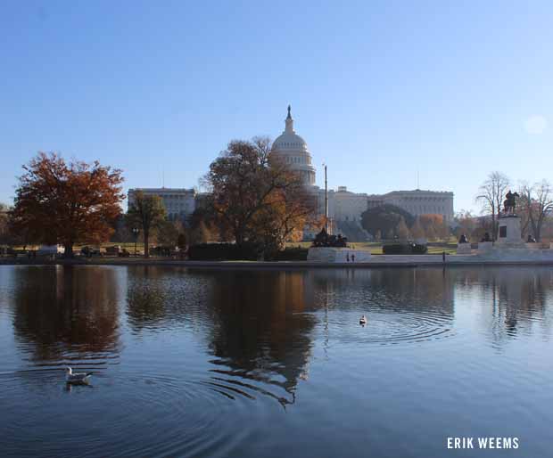 Reflection Capitol Hill