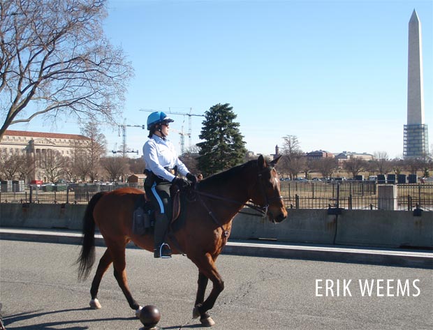 Horse mounted White House Police - Washington DC