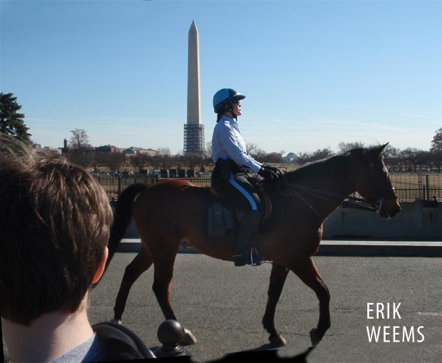 Mounted Horse Police atthe White House in Washington DC