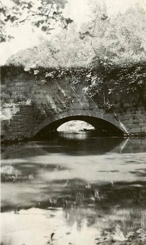 Rock Creek Parkway 1919 - Photo by Martin Gruber