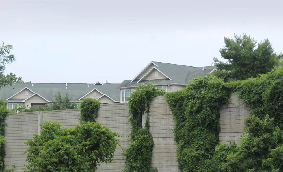 Walls and Houses along Beltway