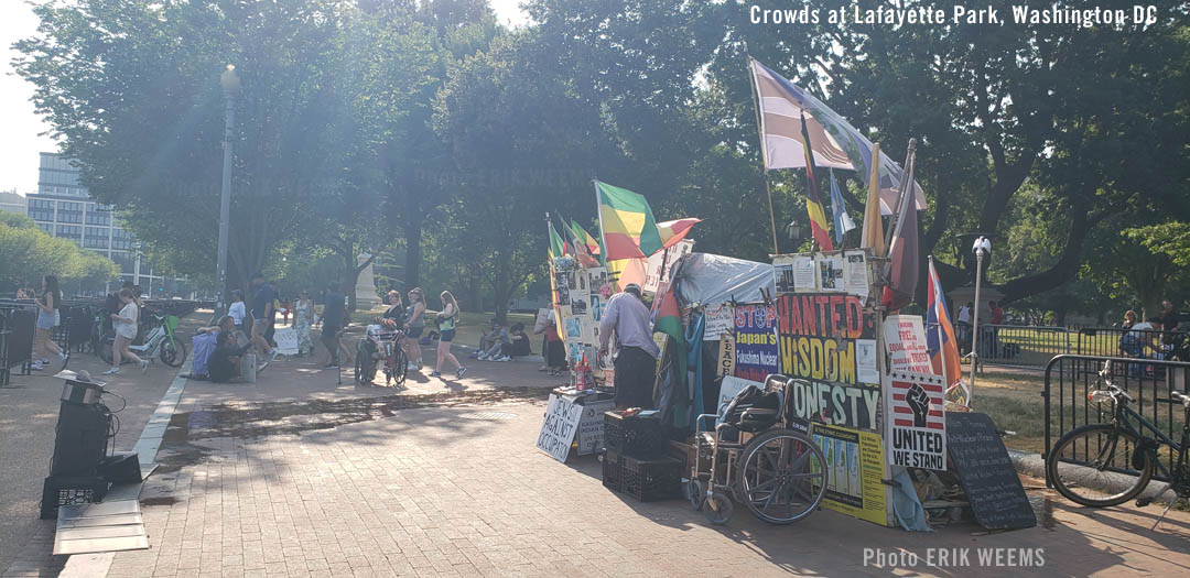 Crowds across from the White House June