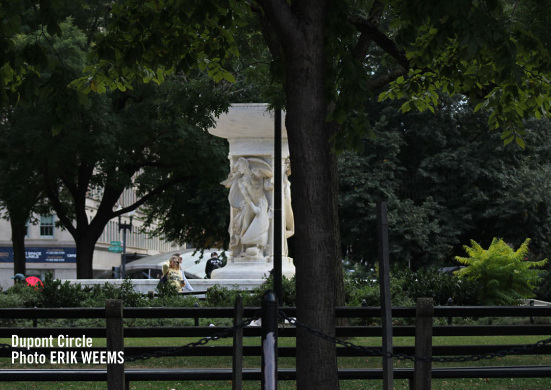 Dupont Circle Green Trees