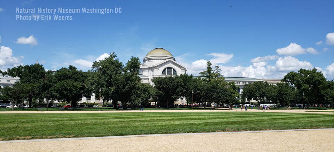 Natural History Museum in Washington DC under blue skies 2022