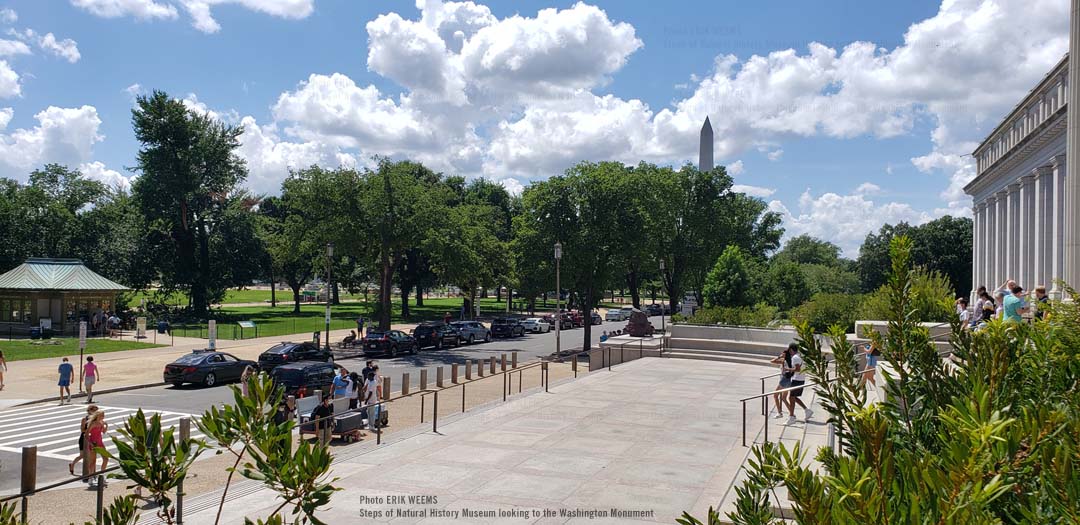 Steps of the Natural History Museum looking toward the Washington Monument