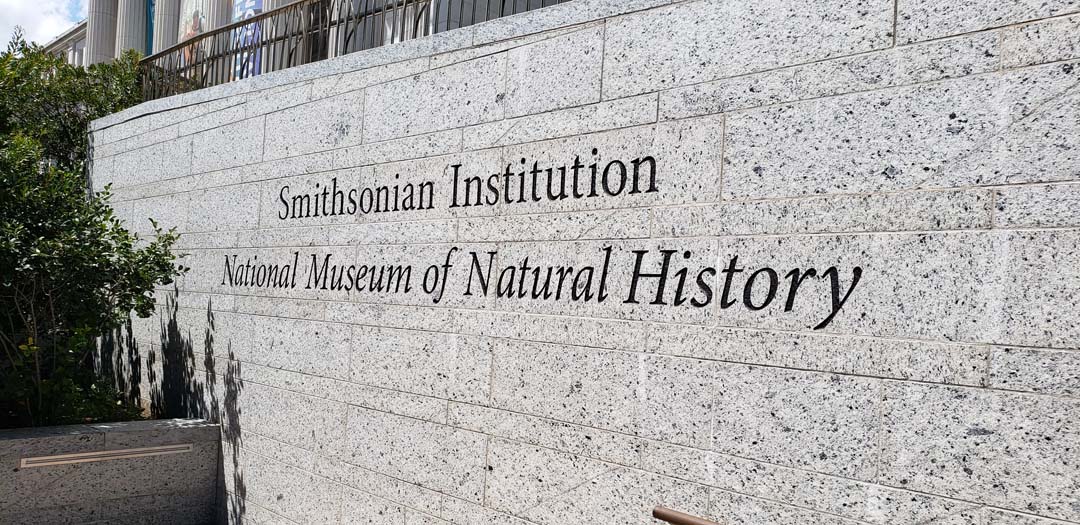 The Smithsonian Natural History Museum in Washington DC