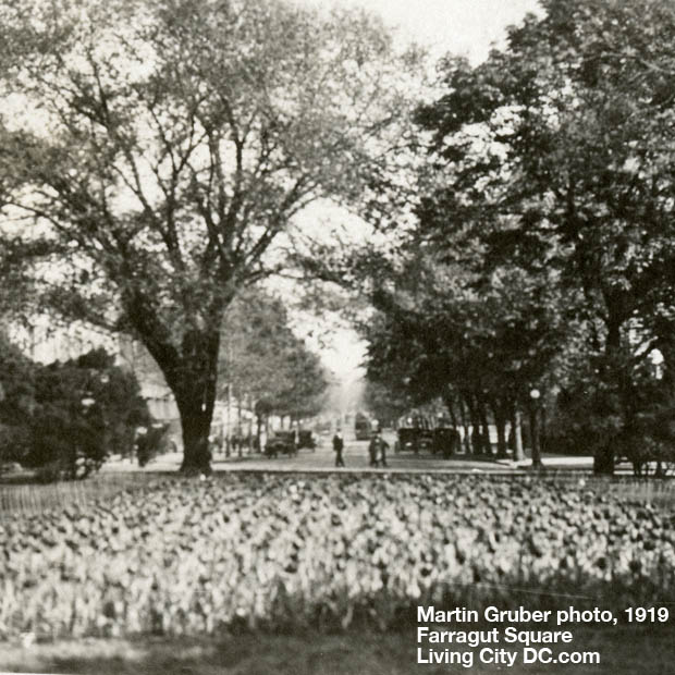 1919 Farragut Square photo by Martin Gruber