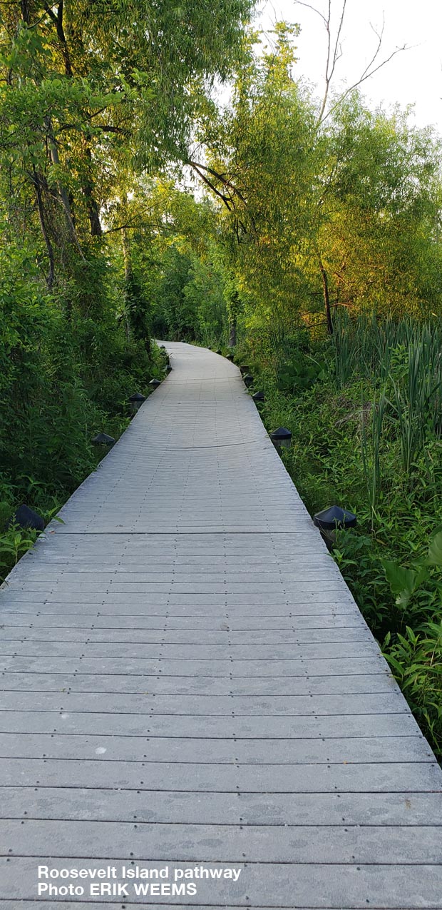 Roosevelt Island Pathway