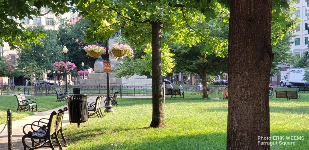 Summer at Farragut Square