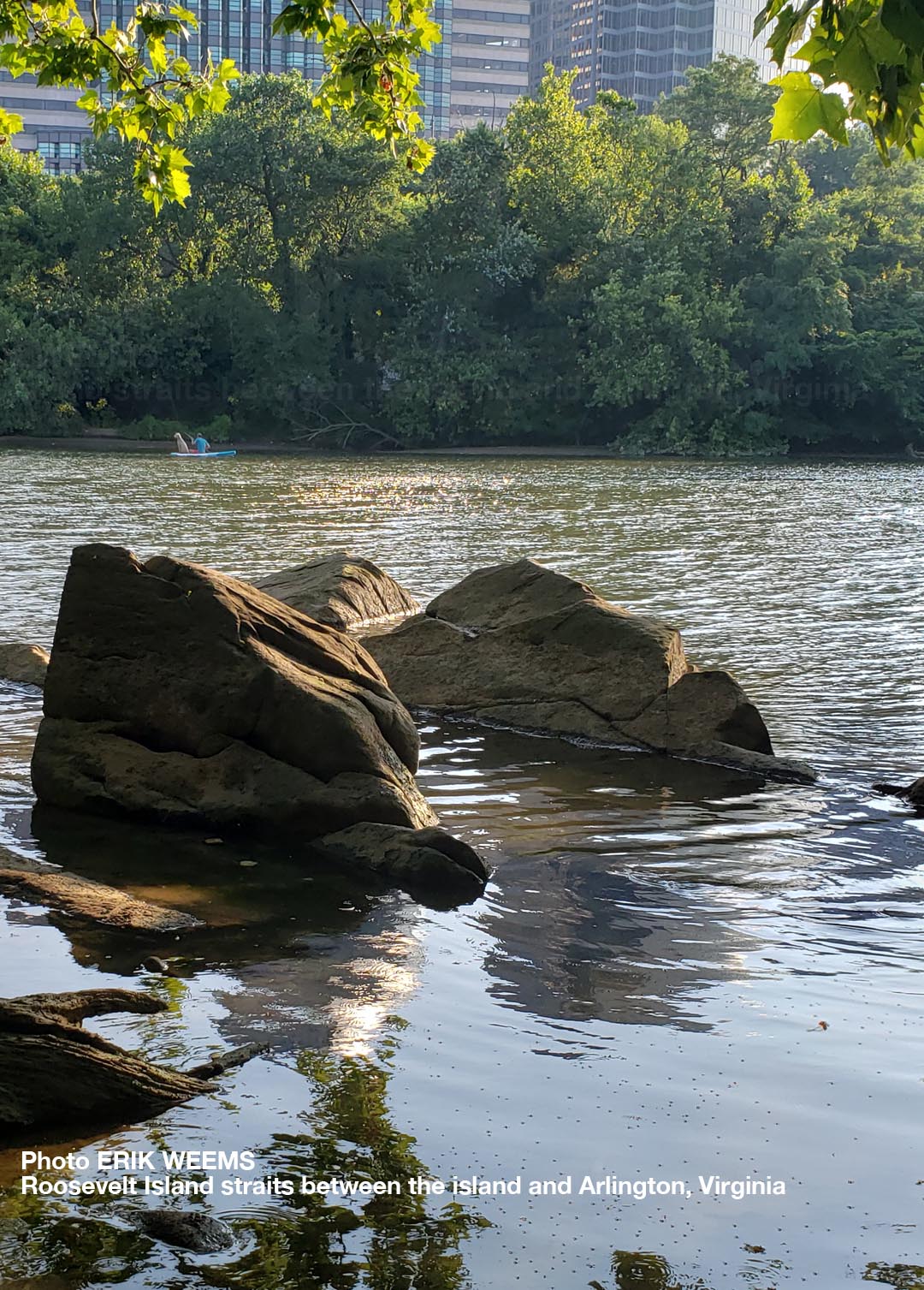 The Straits between Roosevelt Island and Arlington Virginia