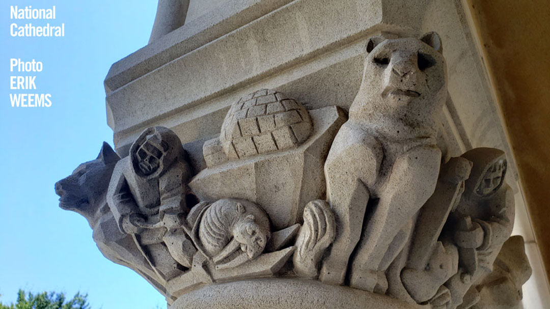 National Cathedral Carvings