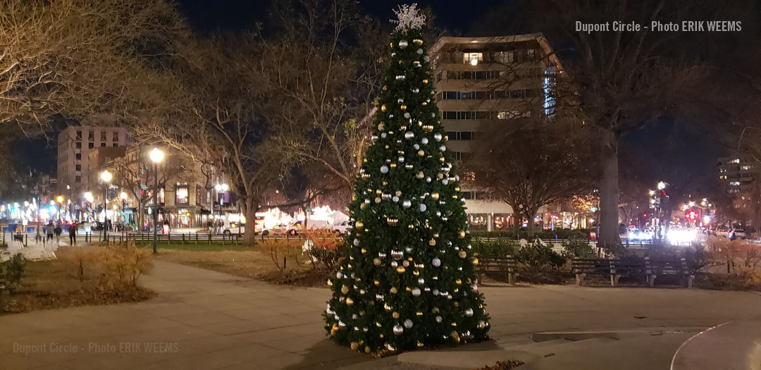 Dupont Circle Christmas tree at night