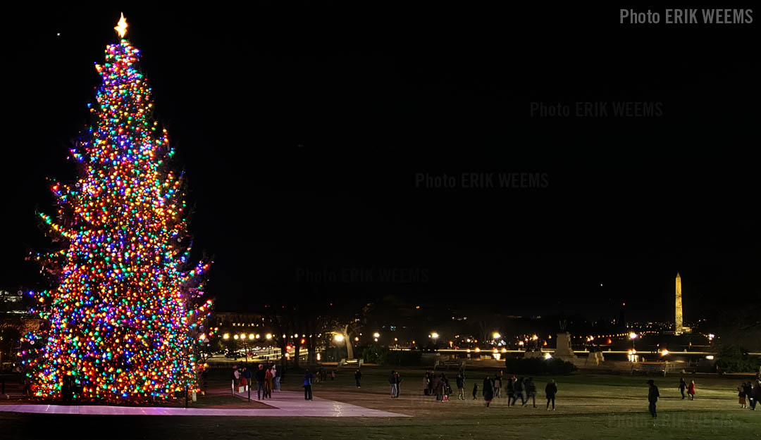 Congressional Christmas Tree and the Washington Monument