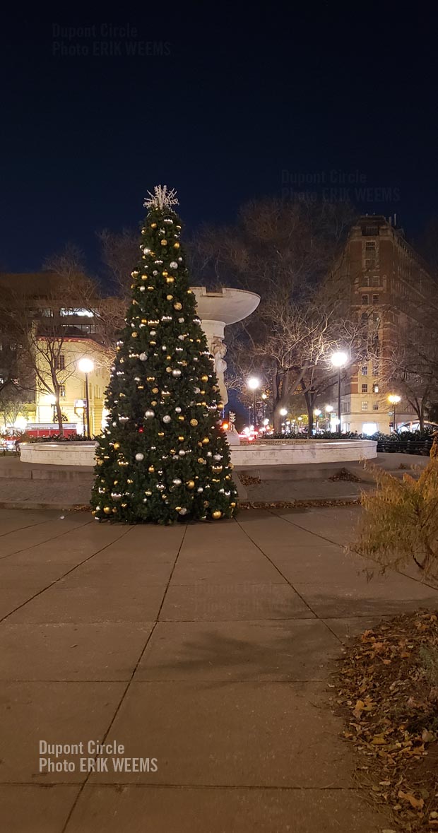 Dupont Circle Christmas Tree