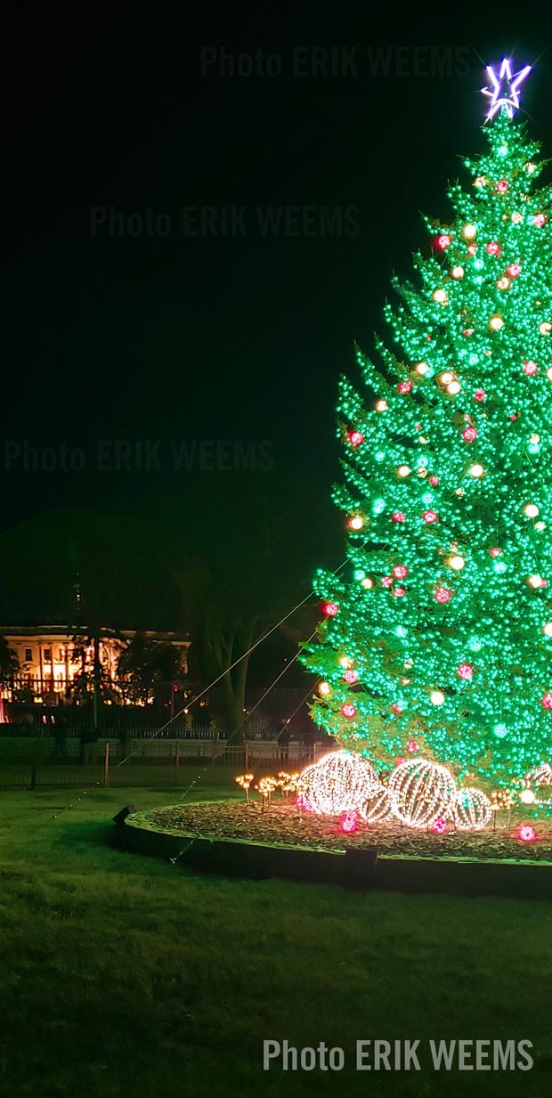 Outside the White House the Annual Christmas Tree