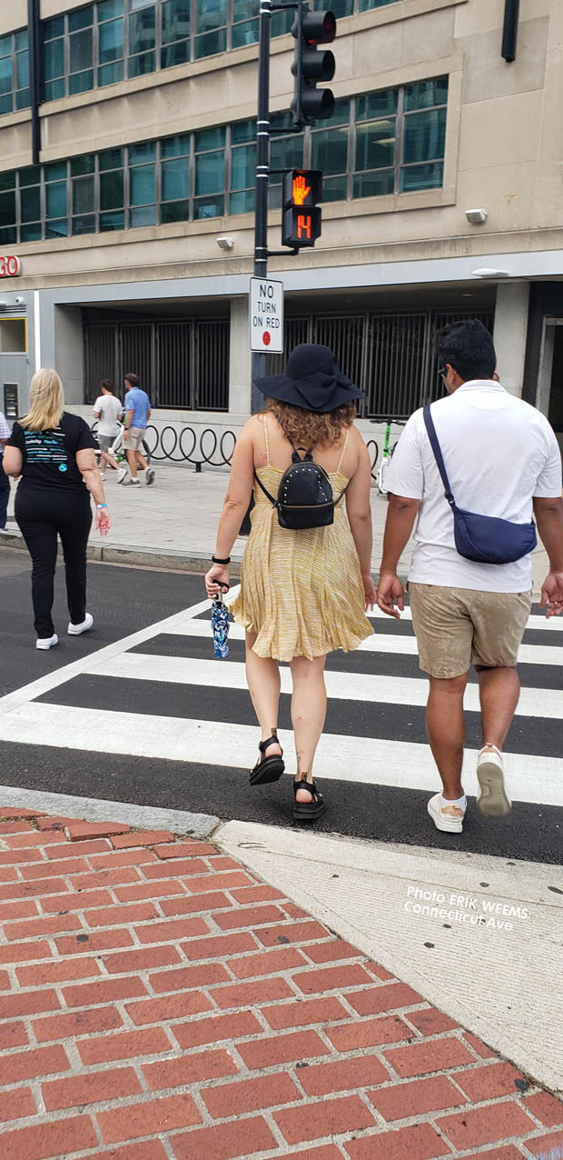 Click image to enlarge - On the bricks on Connecticut Avenue On the bricks on Connecticut Avenue