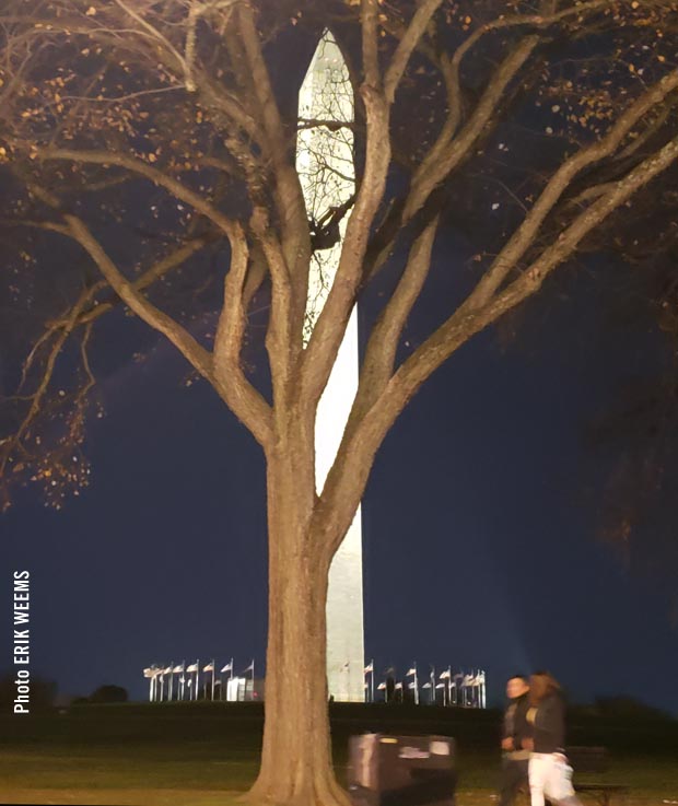 Washington Monument at Night Washington Monument at Night