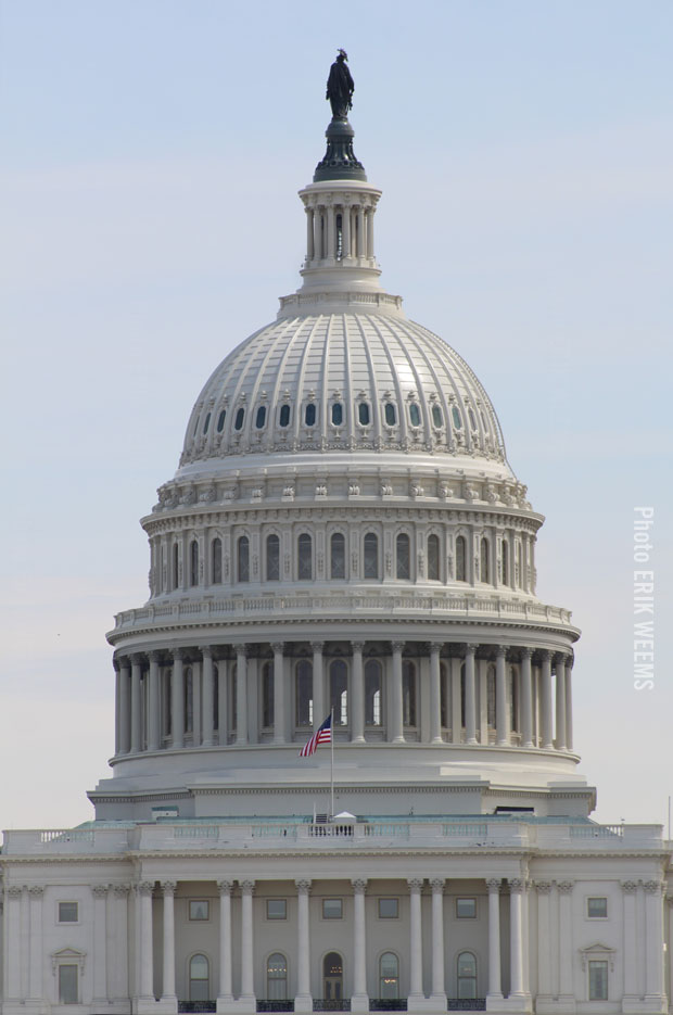 Capitol Dome of the United States Congress in Washington DC