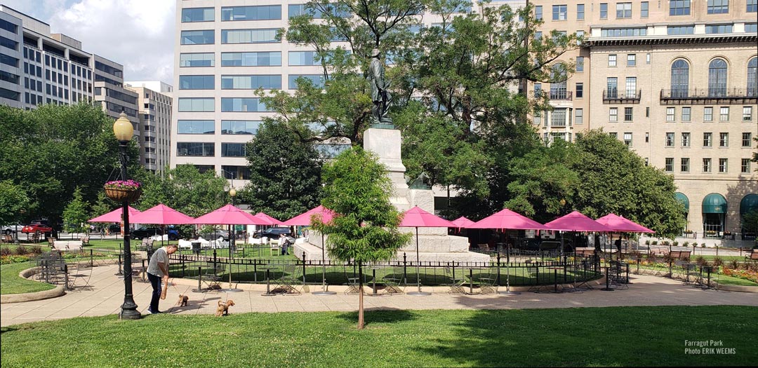 Farragut Park under the July sunlight