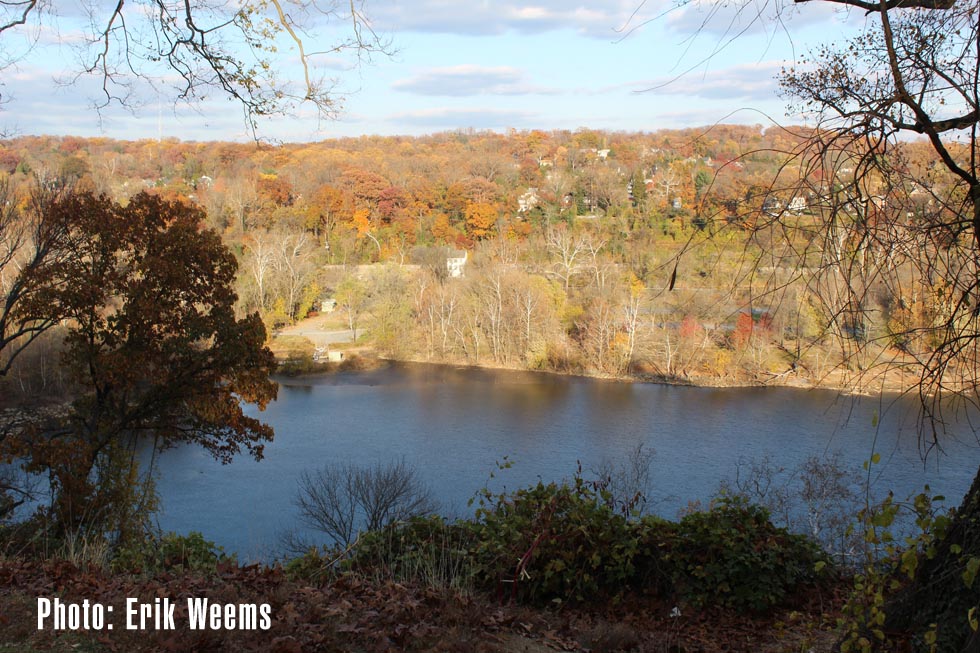 View of DC form Virginia Side - Potomac and trees in Autumn