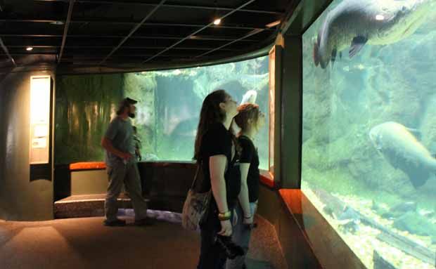 Nationa Zoo fish - Aqurium Exhibit