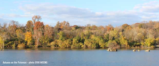 Autumn on the Potomac