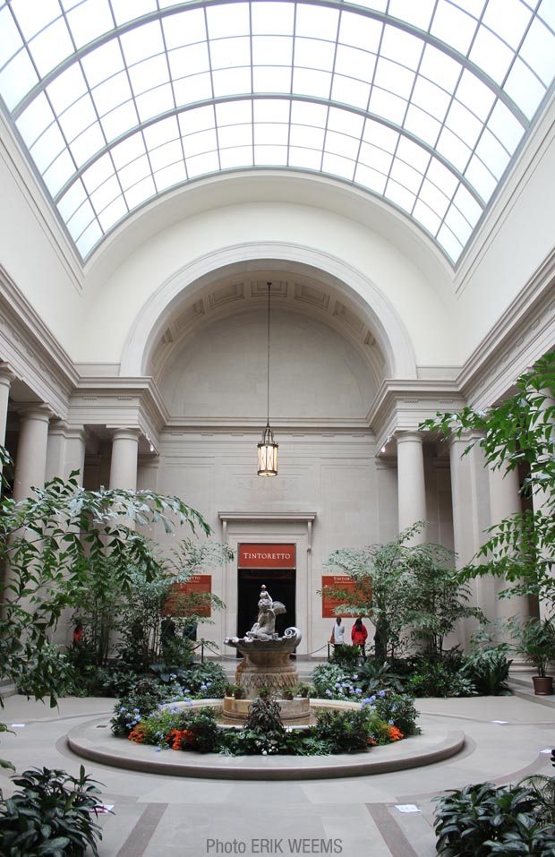 Inside the Washington DC National Gallery arboretum