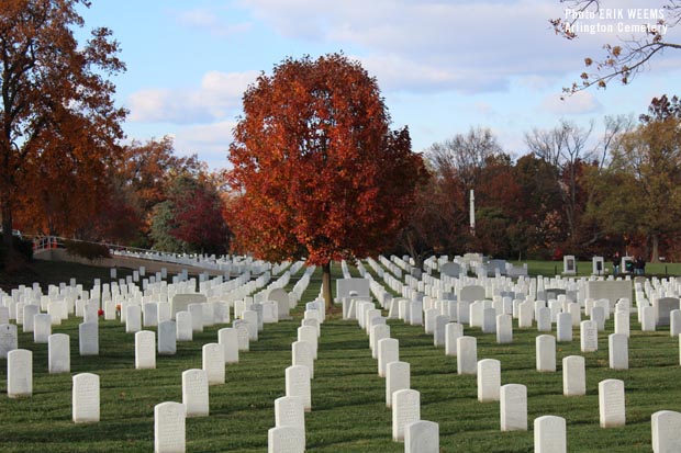 Fall at Arlington Cemetery