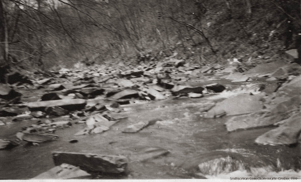 1919 image Washington DC Rock Creek