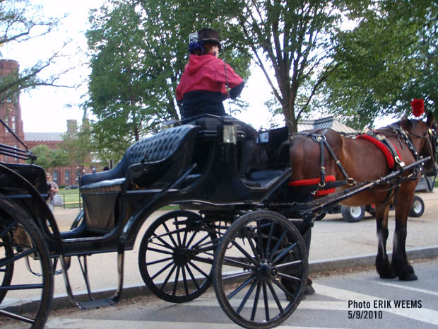 Horse Drawn Carriage - National Mall