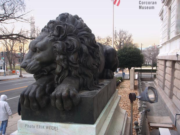 Corcoran Museum Gallery Lion Statue