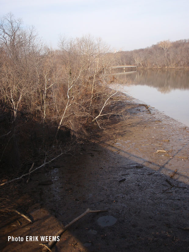Potomac River Mud