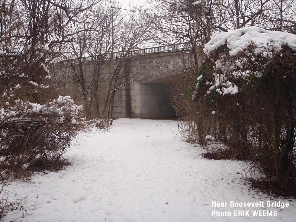 Snow at Roosevelt Bridge
