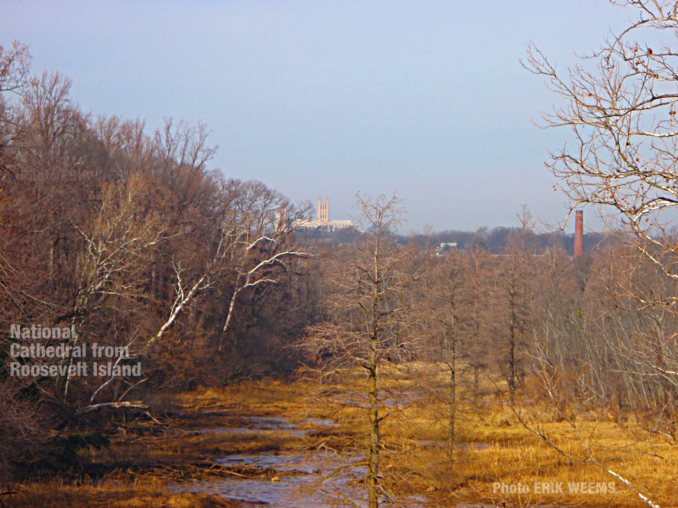National Cathedral from Roosevelt Island