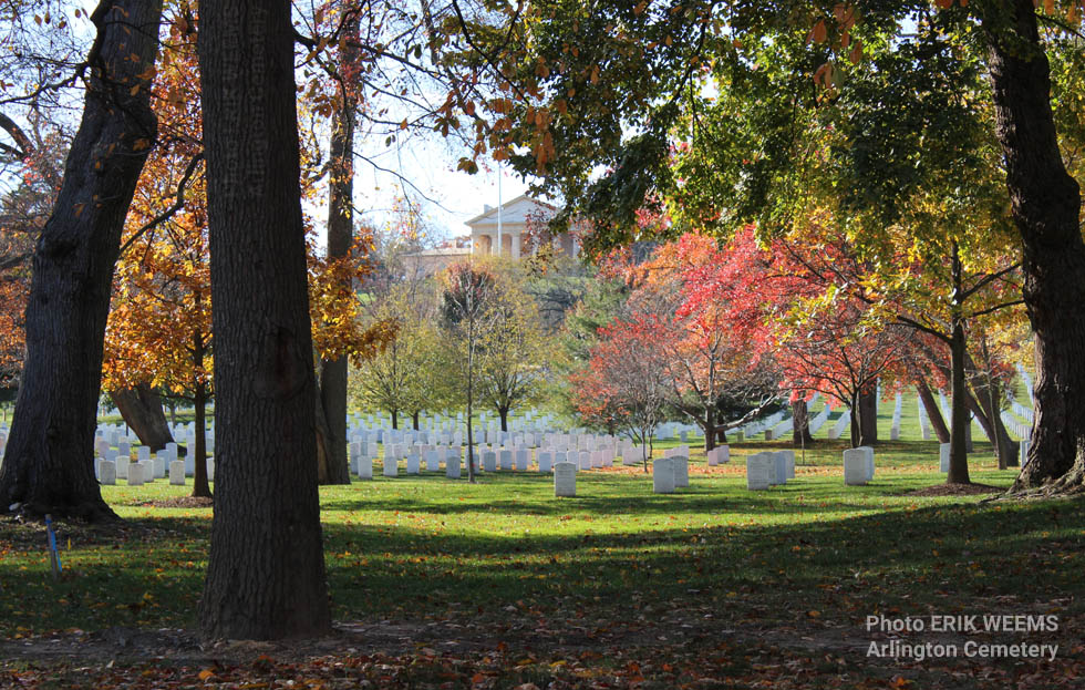 Arlington Cemetery Autumn