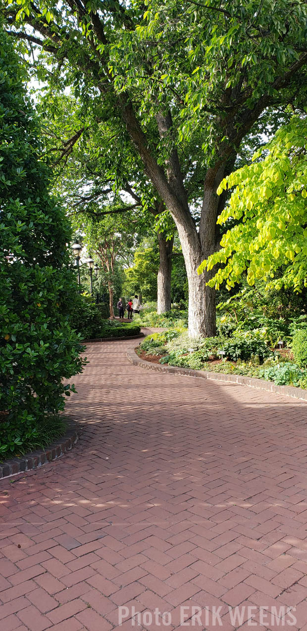 Curving Brick Path at the Garden at Smithsonian Castle Washington DC