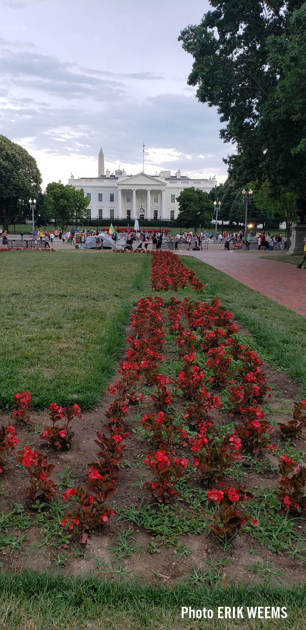 Near Dusk in front of the White House