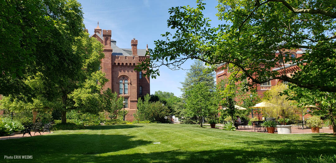 The green lawn of the Enid Haupt Garden